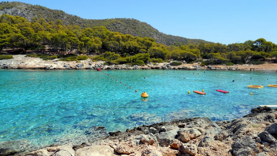 Turquoise water and pine trees at Aponisos on Agistri, a Saronic island reached on an Athens catamaran cruise