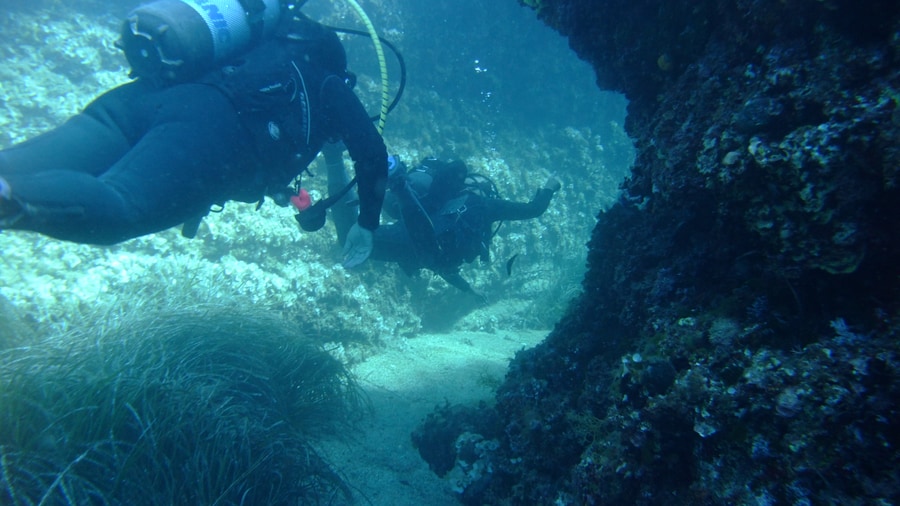 Two divers on a Corfu scuba diving trip swim past a rock arch above Posidonia seagrass