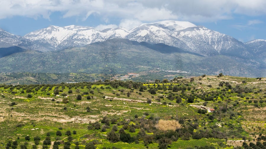 A Crete jeep safari crosses green olive country below the snow-capped peaks of Mount Ida