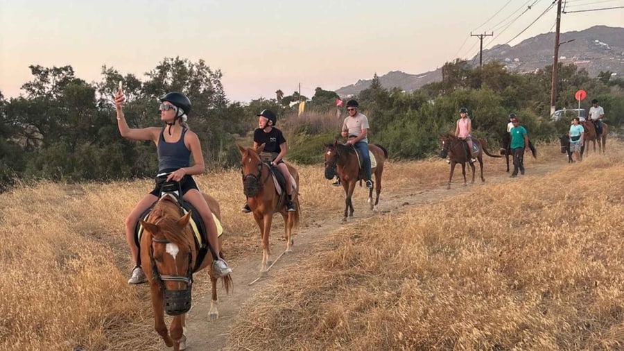 Naxos horse riding on a dry country track, with a line of riders on brown horses at dusk