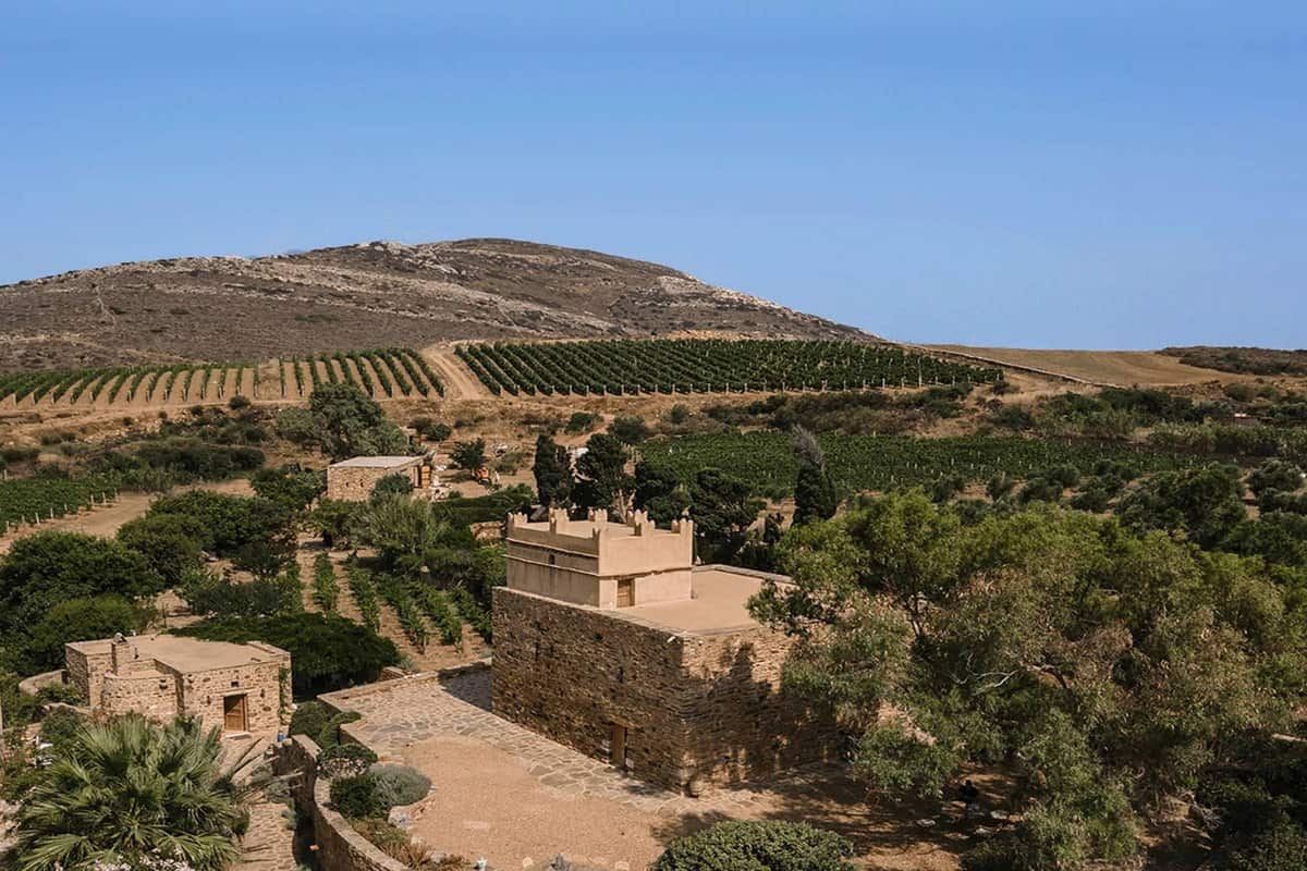 Naxos wine tour vineyard rows on a dry hillside, with a stone tower house and gardens in front