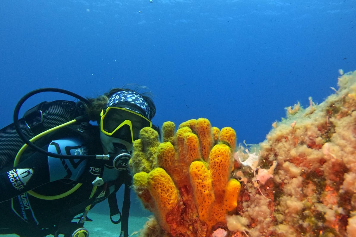 A Paros scuba diving trip diver looks at a yellow tube sponge on a rocky reef in clear blue water