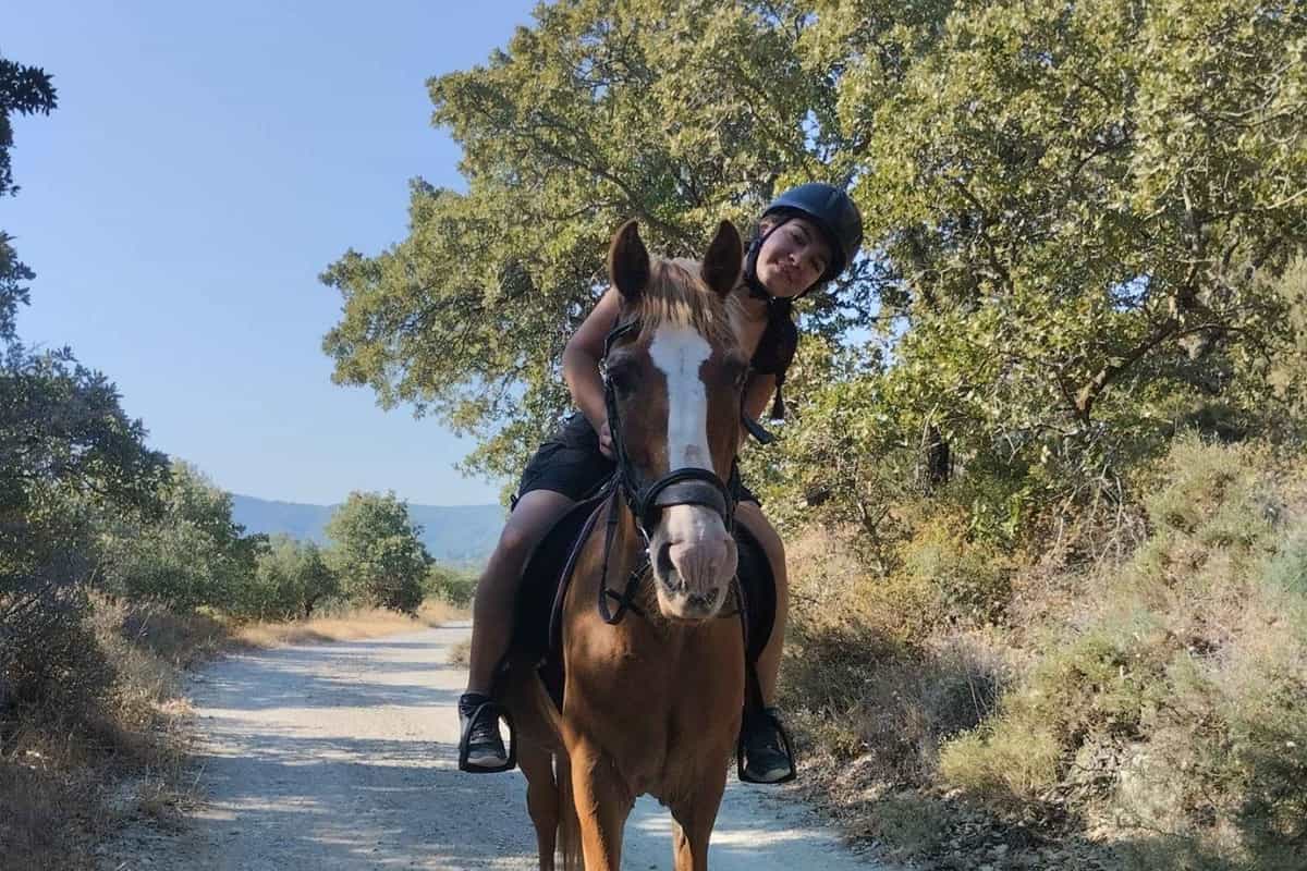 Rhodes horse riding on a forest track, with a rider in a helmet on a chestnut horse under green trees