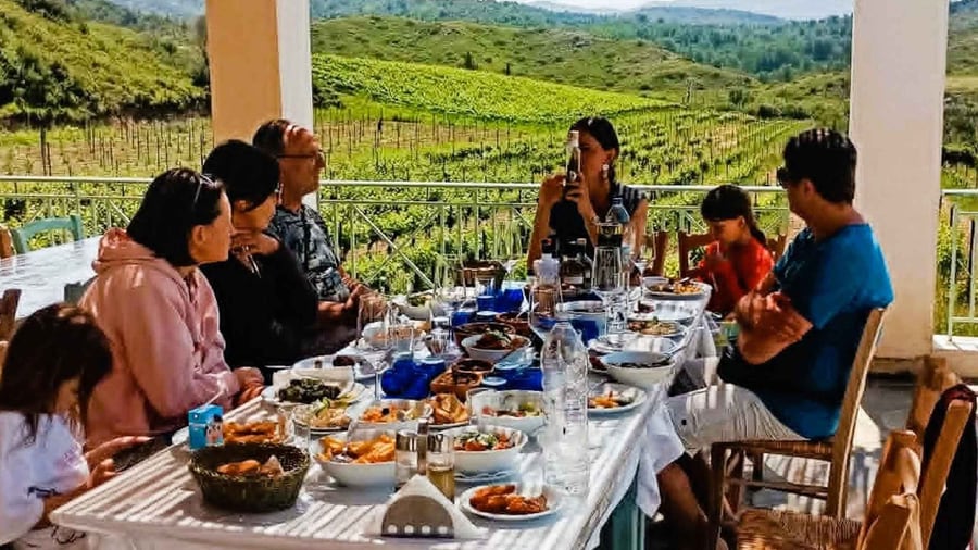 A Rhodes wine tour tasting table with wine, meze dishes and a group of guests on a terrace above green vineyard rows
