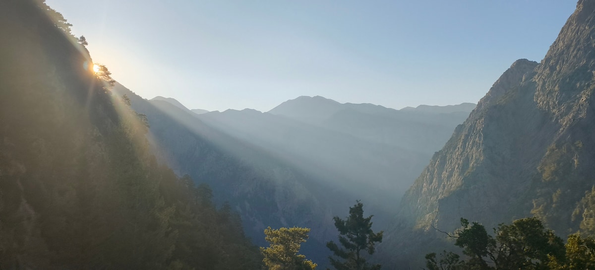 A Samaria Gorge tour walks between the high walls of the gorge in the morning light