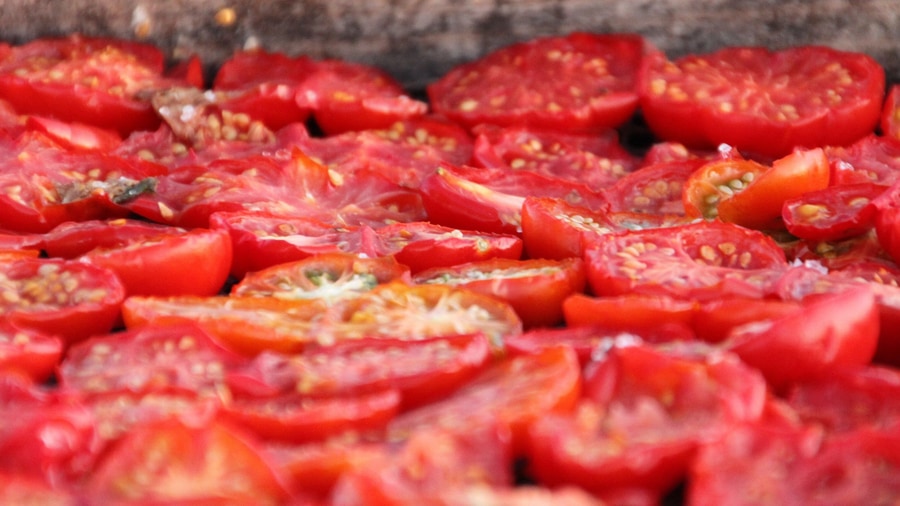 A Santorini food tour tastes the island cherry tomatoes, dried in the sun for winter