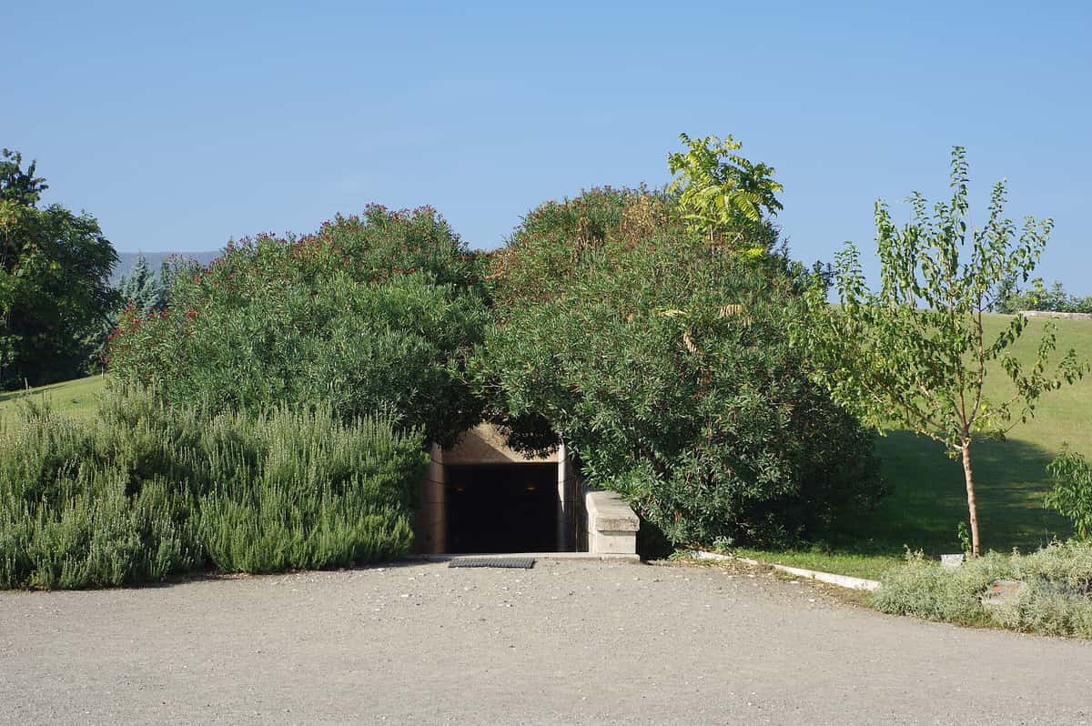 A Vergina day trip reaches the entrance to the museum of the royal tombs under the great mound